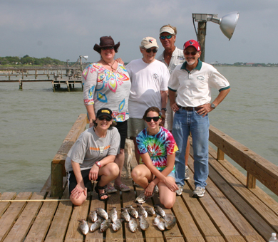 Spoonbills and Longhorn